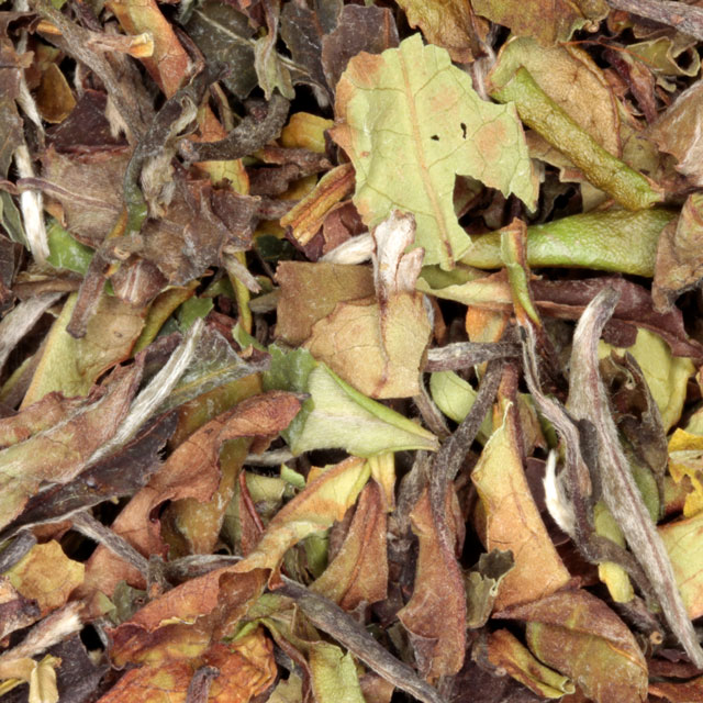 Witte thee Bai Mu Dan India van De Theefabriek, 1x 1kg